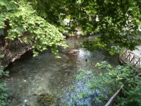 /album/%ce%ad%ce%ba%ce%b8%ce%b5%cf%83%ce%b7-%cf%86%cf%89%cf%84%ce%bf%ce%b3%cf%81%ce%b1%cf%86%ce%b9%cf%8e%ce%bd/katarraktes10-jpg/